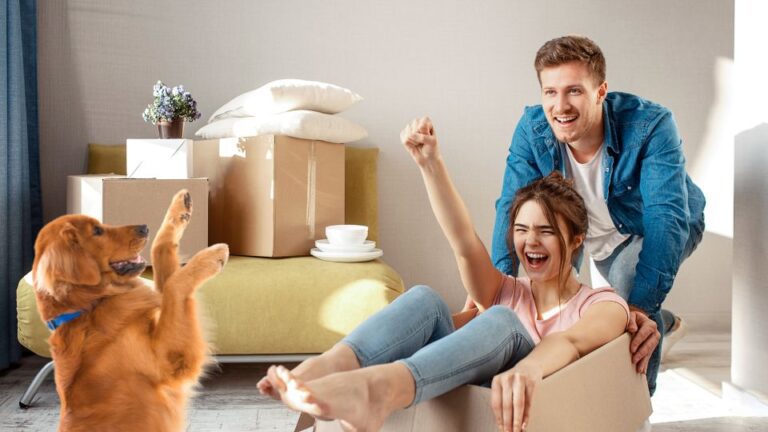 sgm abogados renting